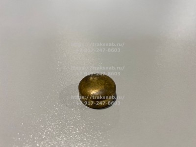Заглушка головки блока Д-245