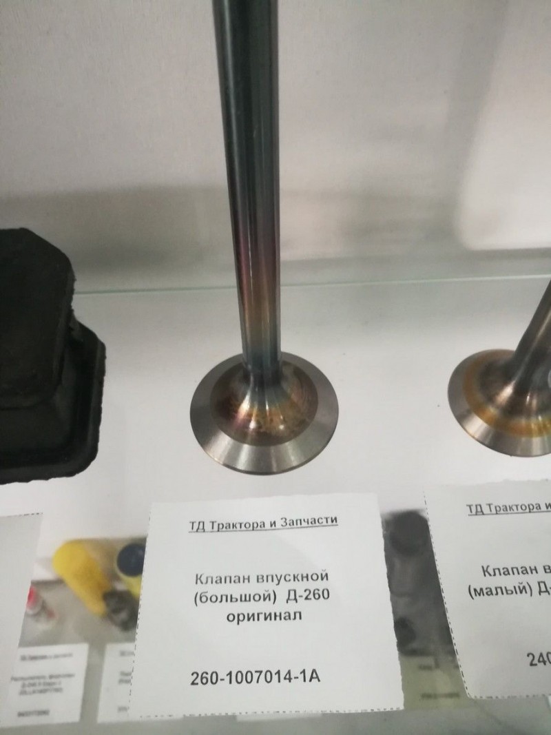 Клапан впускной (большой)  Д-260 оригинал — 2