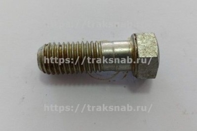Болт крепления двигателя